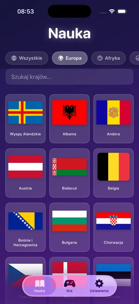 Polish UI